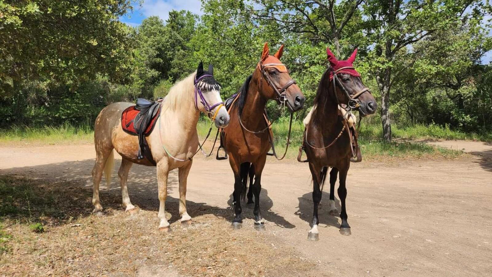 La Cabane Aux Chevaux Varages Exteriör bild