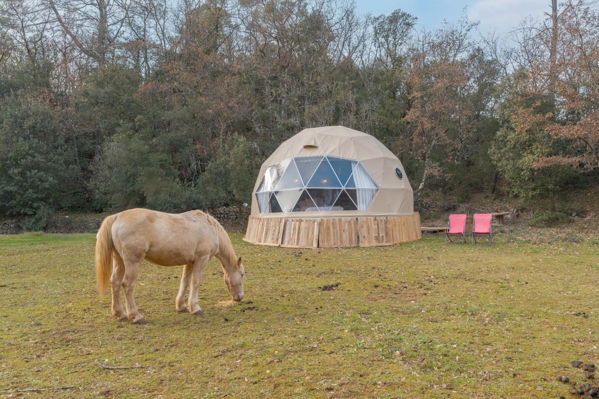 La Cabane Aux Chevaux Varages Exteriör bild
