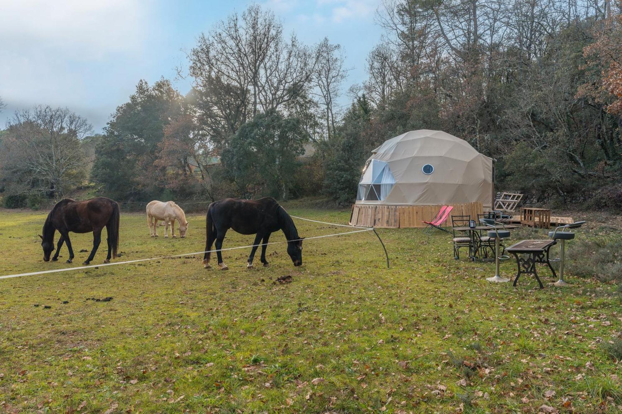 La Cabane Aux Chevaux Varages Exteriör bild